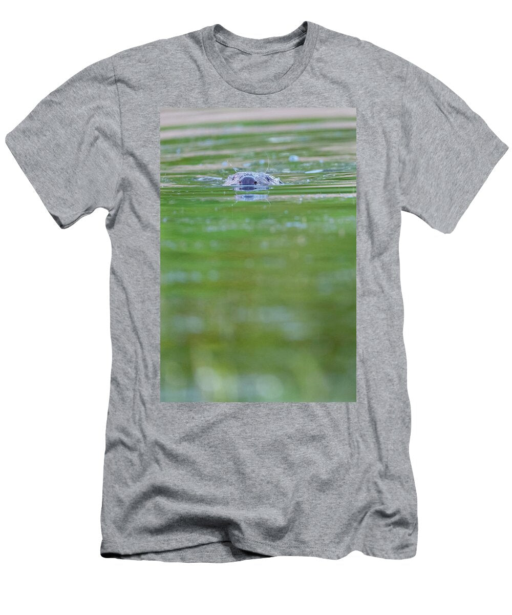 1 Eurasian Beaver a Reintroduced Species Swimming in River Staffan Widstrand Natureplcom T-Shirt
