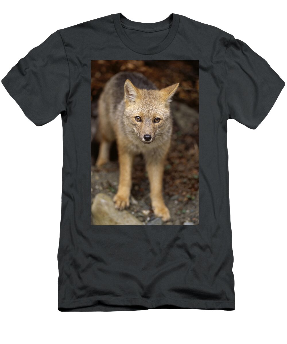 10 Environmental Woes of Tierra Del Fuego Kevin Moloney T-Shirt