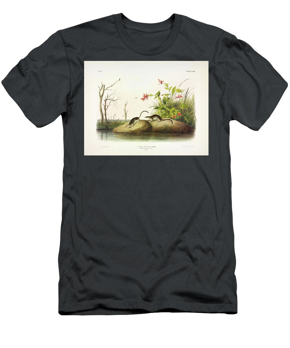 American Marsh Shrew John James Audubon T-Shirt