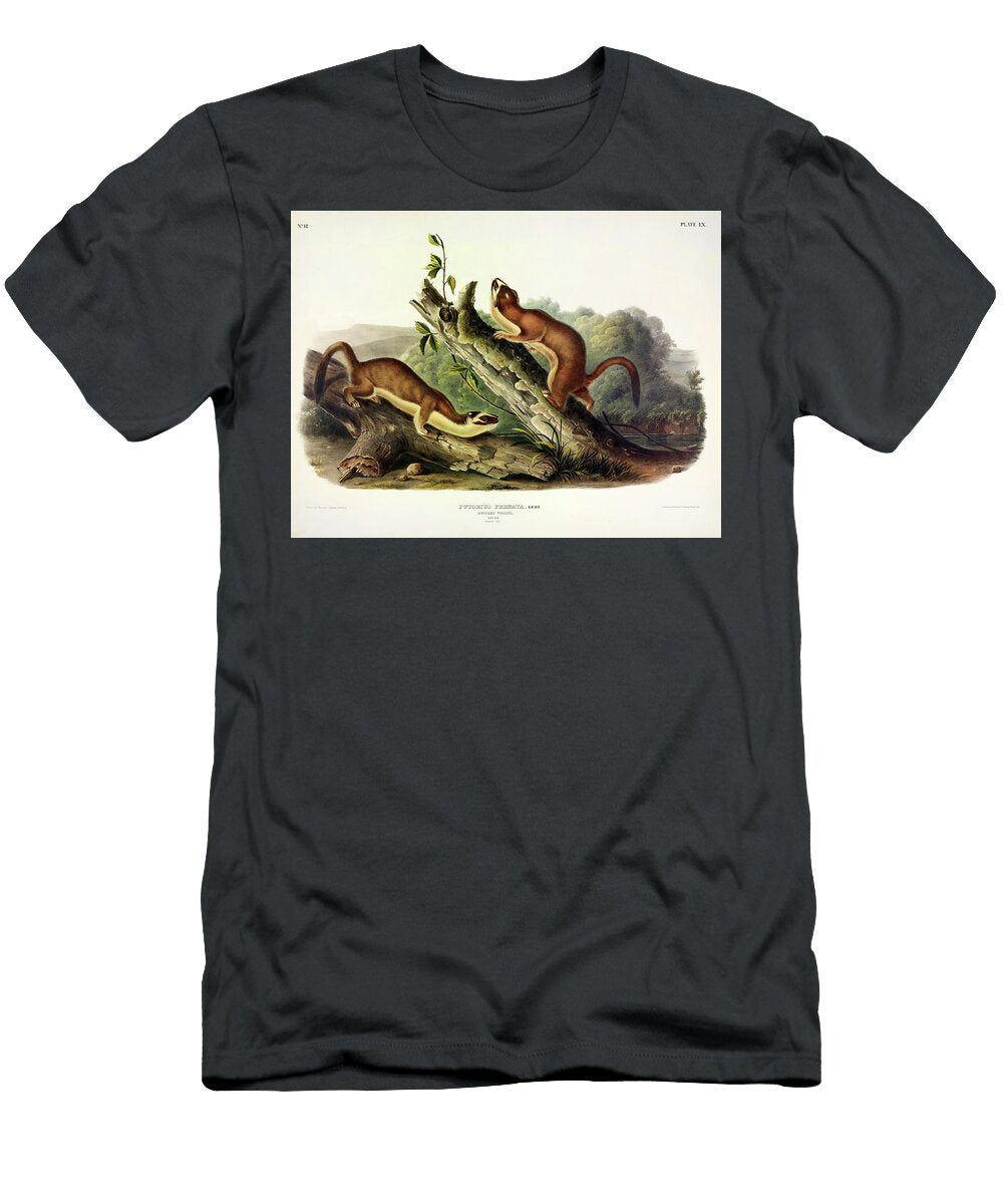Bridled Weasel John James Audubon T-Shirt