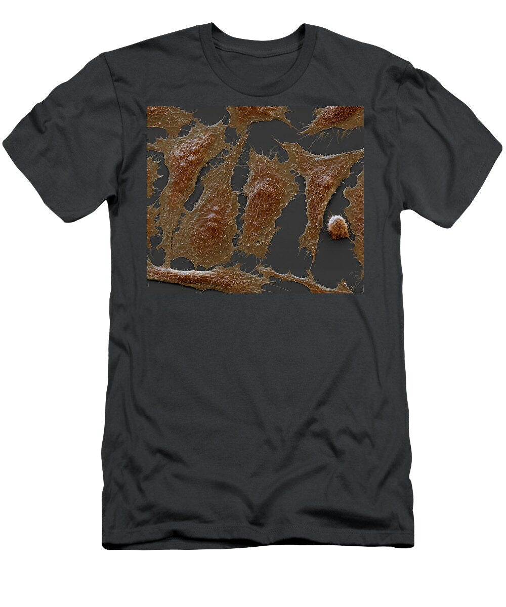Chinese Hamster Ovary Cells Sem Meckesottawa T-Shirt