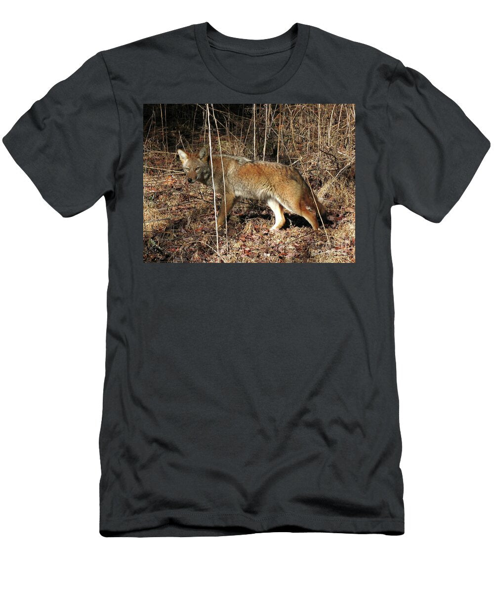 Coyote in the Cove Douglas Stucky T-Shirt
