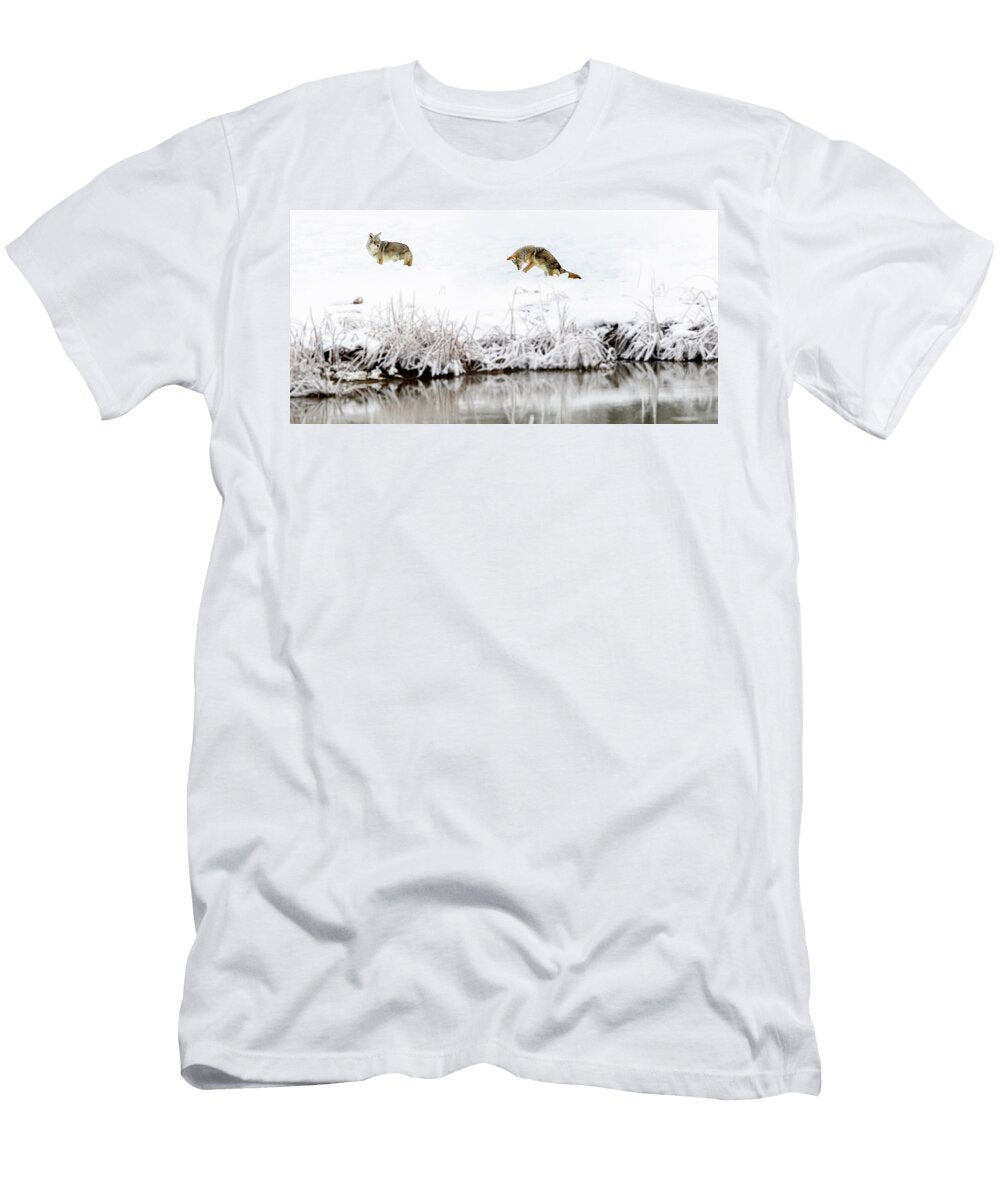 Coyote Pounce Hunting for Rodents in Deep Snow Madison Nick Garbutt Natureplcom T-Shirt