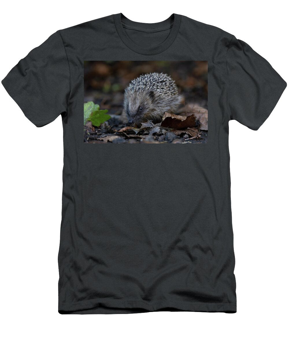 European Hedgehog Juvenile Foraging in Leaf Litter Robin Chittenden Natureplcom T-Shirt