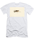 Ferret and Stone Marten 1824 Litho Jacques Christophe Werner T-Shirt