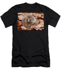 Hedgehog Curled Up in Autumn Leaves Peak District UK Paul Hobson Natureplcom T-Shirt