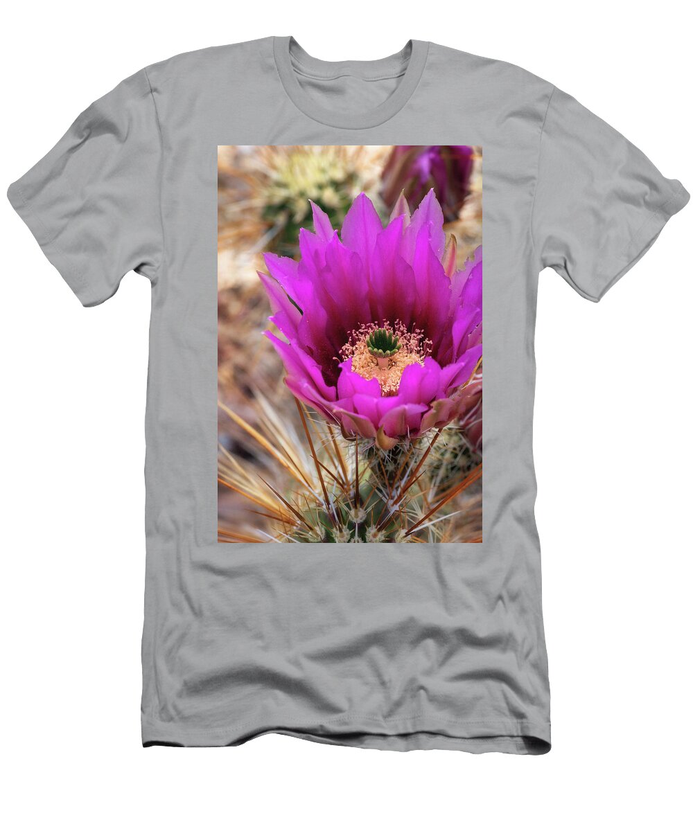 Hedgehog in Pink Saija Lehtonen T-Shirt
