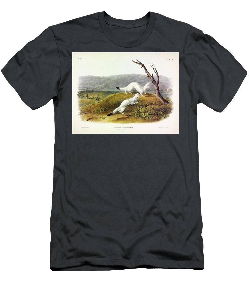 Little Nimble Weasel John James Audubon T-Shirt