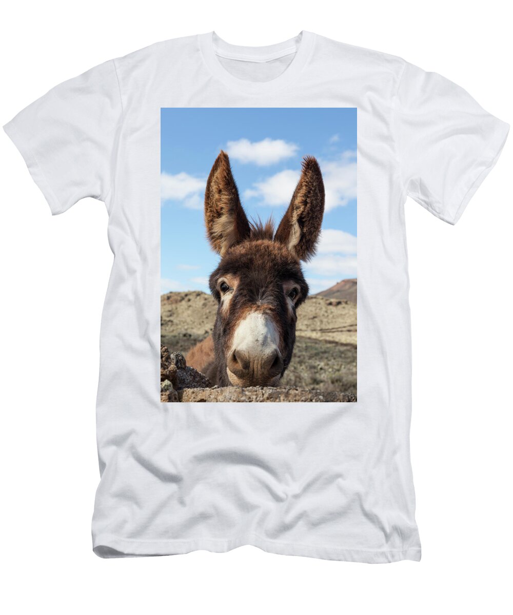 Portrait of a Donkey Fuerteventura Mauro Ladu T-Shirt