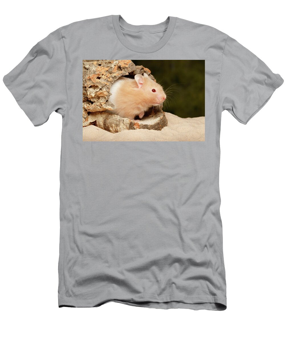 Teddy Bear Hamster David Kenny T-Shirt