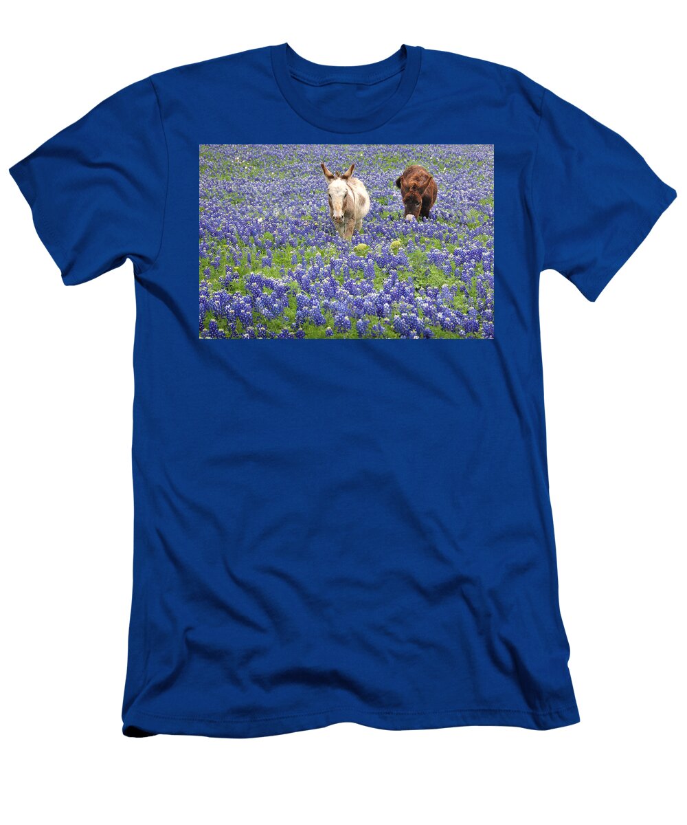 Texas Donkeys and Bluebonnets Texas Wildflowers Landscape Jon Holiday T-Shirt