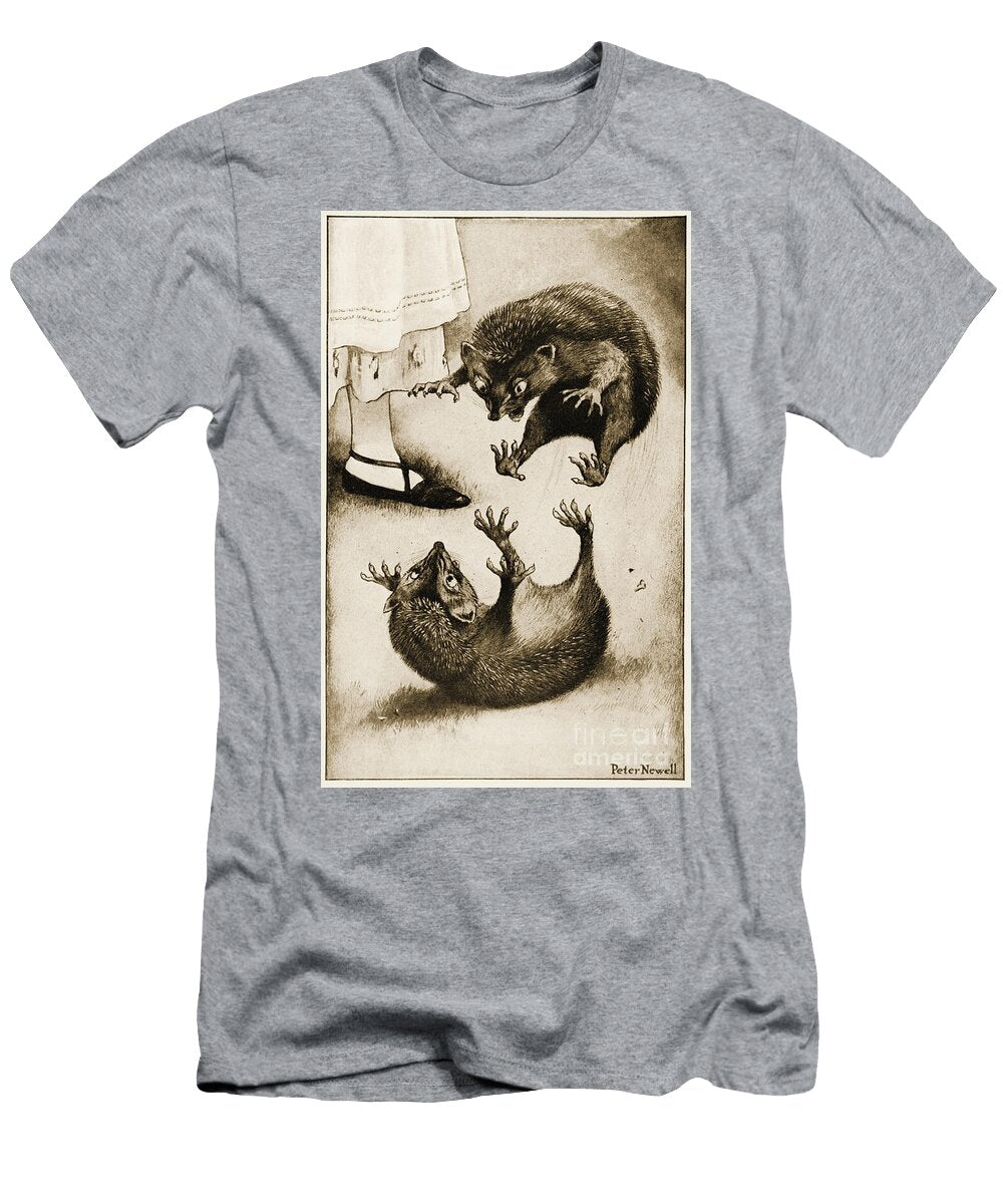 The Hedge Hog Was Engaged in a Fight with Another Hedge Hog Illustration for Lewis Carrolls Alices Adventures in Wonderland Peter Newell T-Shirt