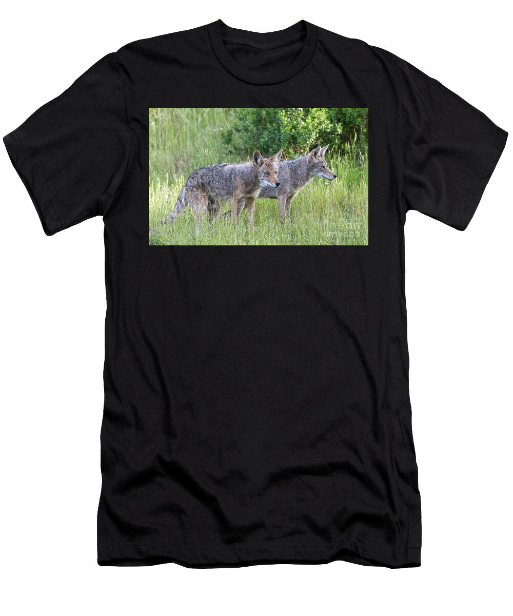 Two Coyotes Standing Close Together in a Grassy Natural Setting Yuval Helfman T-Shirt